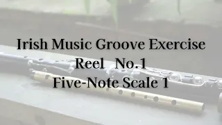 Irish Music Groove Exercise No.1 Reel Five-Note Scale 1