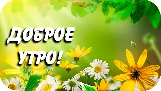 Доброе утро и хорошего дня! Музыкальная открытка!