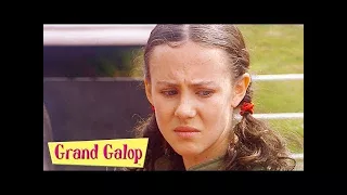 Grand Galop 216 - Cavalier d'un soir | HD | Épisode Complet