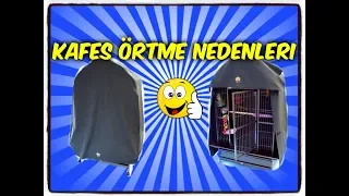 MUHABBET KUŞU ÜZERİNİ ÖRTMEK GEREKİR Mİ? NE FAYDA SAĞLAR? ( Budgies Cage Cover)