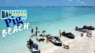 Swimming Pigs of Exuma | Bahamas Trip Day 5