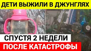 Четверо детей, найдены живыми в джунглях через 17 дней после авиакатастрофы