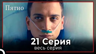 Пятно | серия 21