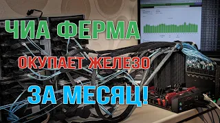 Чиа ферма окупает железо за месяц!