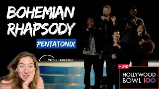 Voice Teacher Reacts to Bohemian Rhapsody by Pentatonix