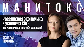 Российская экономика в условиях СВО: что изменилось после 24 февраля? / Манитокс // 08.11.2022