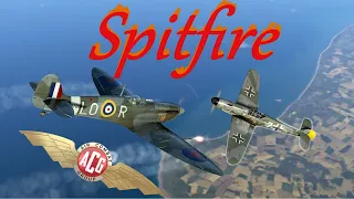 Spitfire Mk. Vb: Courage without Glory - ACG