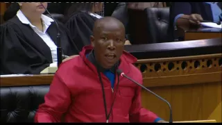 Julius Malema during a Parliamentary debate on elections