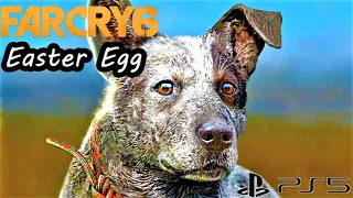BOOMER EASTER EGG & LOCATION in FAR CRY 6 PS5 Gameplay