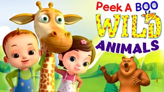 Peek a Boo - Learn Wild Animals And More Nursery Rhymes & Kids Songs | Baby Ronnie Rhymes