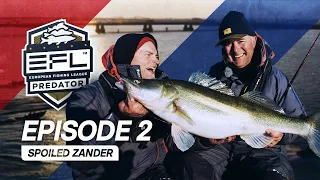 Spoiled Zander - Episode 2 EFL 2023