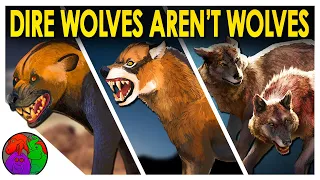 Game of Thrones Got It VERY Wrong | Dire Wolves Aren’t Wolves (Ft. Evolution Soup)