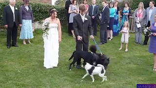 Cool bloopers at weddings) Very funny))) ПОДБОРКА ЛЯПОВ ПРИКОЛОВ НА СВАДЬБАХ УКРАИНА-КАНАДА-РОССИЯ