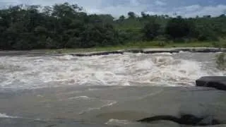 Raudal del Guayabero