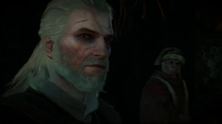 The Witcher 3 - золото дураков