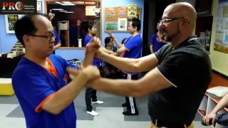 詠春拳Wing Chun training step by step - TCWC