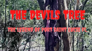 We visited the “Devils Tree” The Legend of Port Saint Lucie Fl.