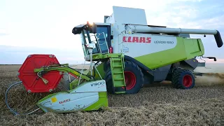 Høst Nørholm 2021 | Claas Lexion 580