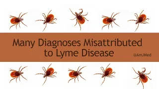 Many Diagnoses Are Misattributed to Lyme Disease