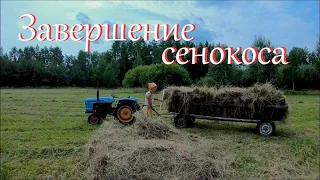 Думала что не справлюсь // Сенокос 2023