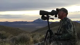 The Quest for Desert Bighorn