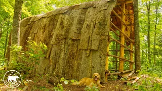 4 Dogs, 4 Guys Build a Longhouse Using Hand Tools and Natural Materials | Bushcraft
