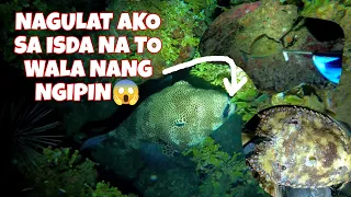 Catanduanes Island night spearfishing