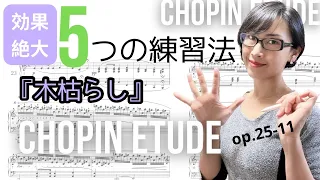 ショパン : エチュード op.25-11『木枯らし』 練習のコツ５選！