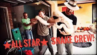 Moving Fred's Biggest Snakes with Chandlers Wildlife!