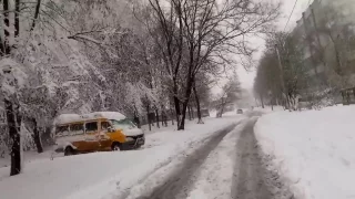 ДЕРЕВЬЯ-УБИЙЦЫ В ДНЕПРЕ!