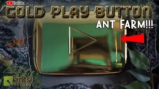 Turning My Youtube Gold Play Button Into an Ant Farm