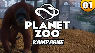 Let's Play Planet Zoo Kampagne - Das Affenschutzprojekt 👑 #001 [Deutsch/German][1440p]