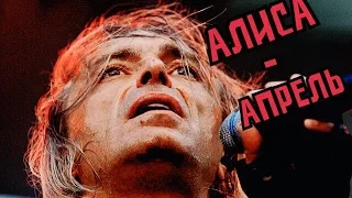 АлисА - Апрель