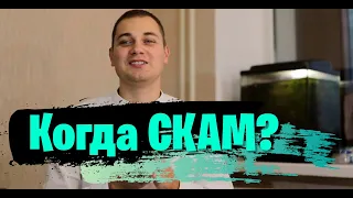 Как определить SCAM ? Причины Скамов ! Как понять когда будет Скам ?