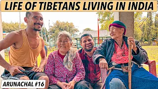 LIFE OF TIBETANS IN INDIA - Tibetan Refugee Camp