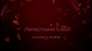 Лепестками слез (slowed & reverb)