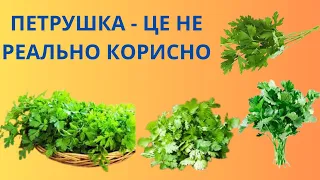 КОРИСТЬ ПЕТРУШКИ ДЛЯ ОРГАНІЗМА ЛЮДИНИ.