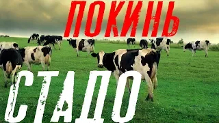 РАЗОРВИ ШАБЛОНЫ! НЕ ЖИВИ КАК ВСЕ! ЭТО ВИДЕО ПЕРЕВЕРНЕТ ТВОЕ МЫШЛЕНИЕ И ЖИЗНЬ!