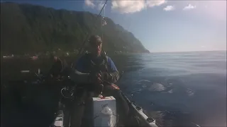 Pesca De Kayak Em S Miguel Açores FAIAL DA TERRA E FAJÃ DO CALHAU É PEIXE GARANTIDO