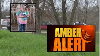 Houston-area girl missing from school bus stop, Persons of interest under investigation. Amber A...