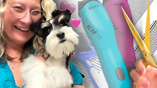 Miniature Schnauzer a Perfect Haircut: Unleash Your Dog Grooming Skills: Grooming with Love ❤️