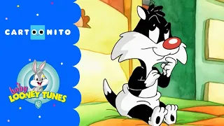 Baby Looney Tunes | Schlafloser Sylvester | Cartoonito