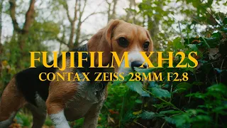 FUJIFILM XH2s Video Test | Contax Zeiss 28mm OPENGATE 6.2K