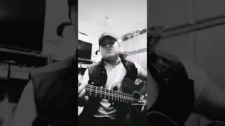 141 Banda Ms - Cover