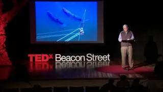 Attend the Whale Song: Roger Payne at TEDxBeaconStreet
