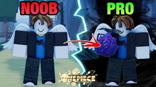 NOOB To PRO With AWAKENED DARK FRUIT (Bad Stats To Pro Level Stats) A One Piece Game | Roblox