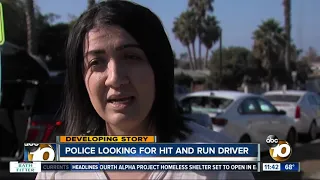 Police search for hit and run driver