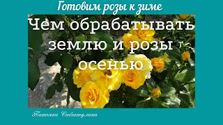 Уход за розами осенью. Обработа и обогащение земли.