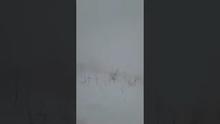 Снег в горах Абхазии