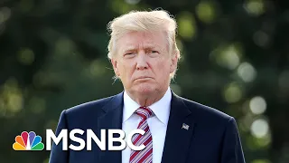 How Will President Donald Trump Handle A Democratic Congress? | MSNBC